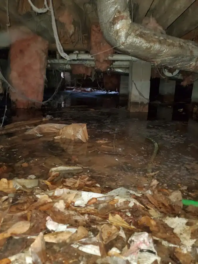 Crawl space flood assessment for Leak Detection & Repair in Green Hill